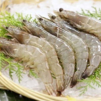 Raw Head – On / Shell – On Vannamei Shrimp
